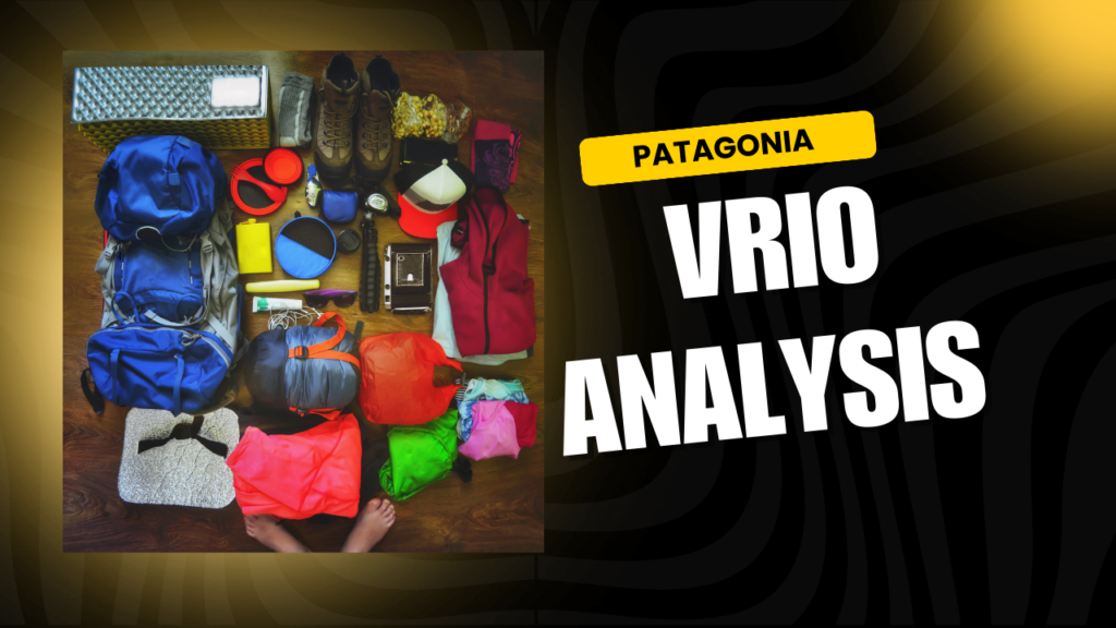 VRIO Analysis of Patagonia