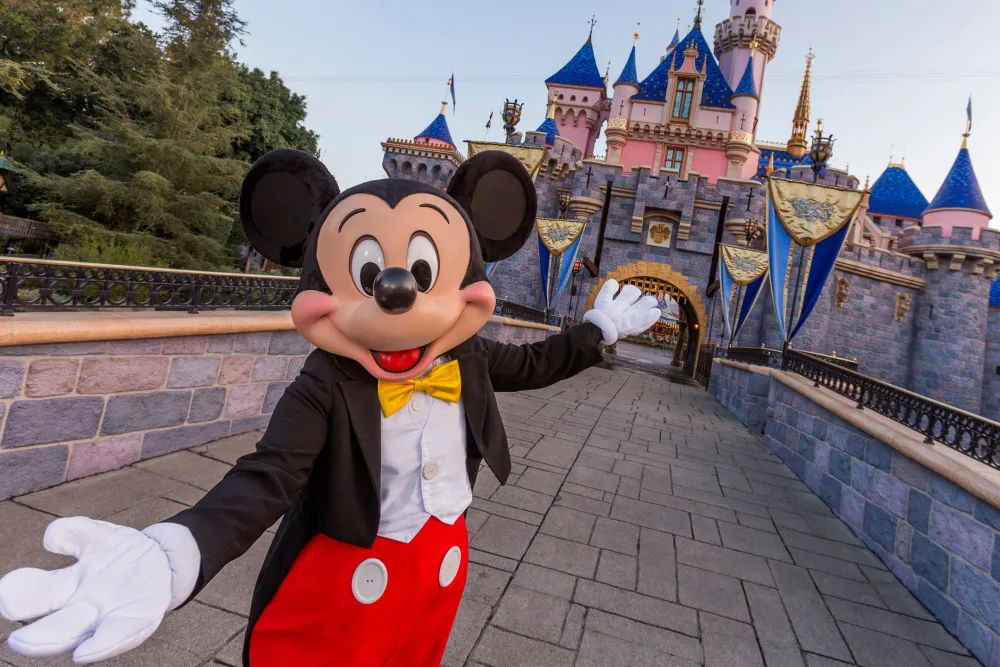 DISNEY VRIO Analysis​